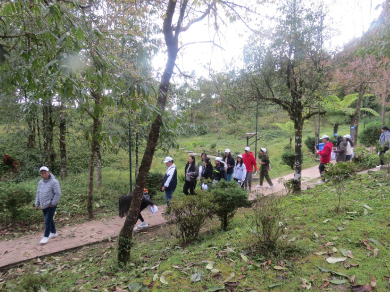 Corporate Social Responsibility icfai university Sikkim